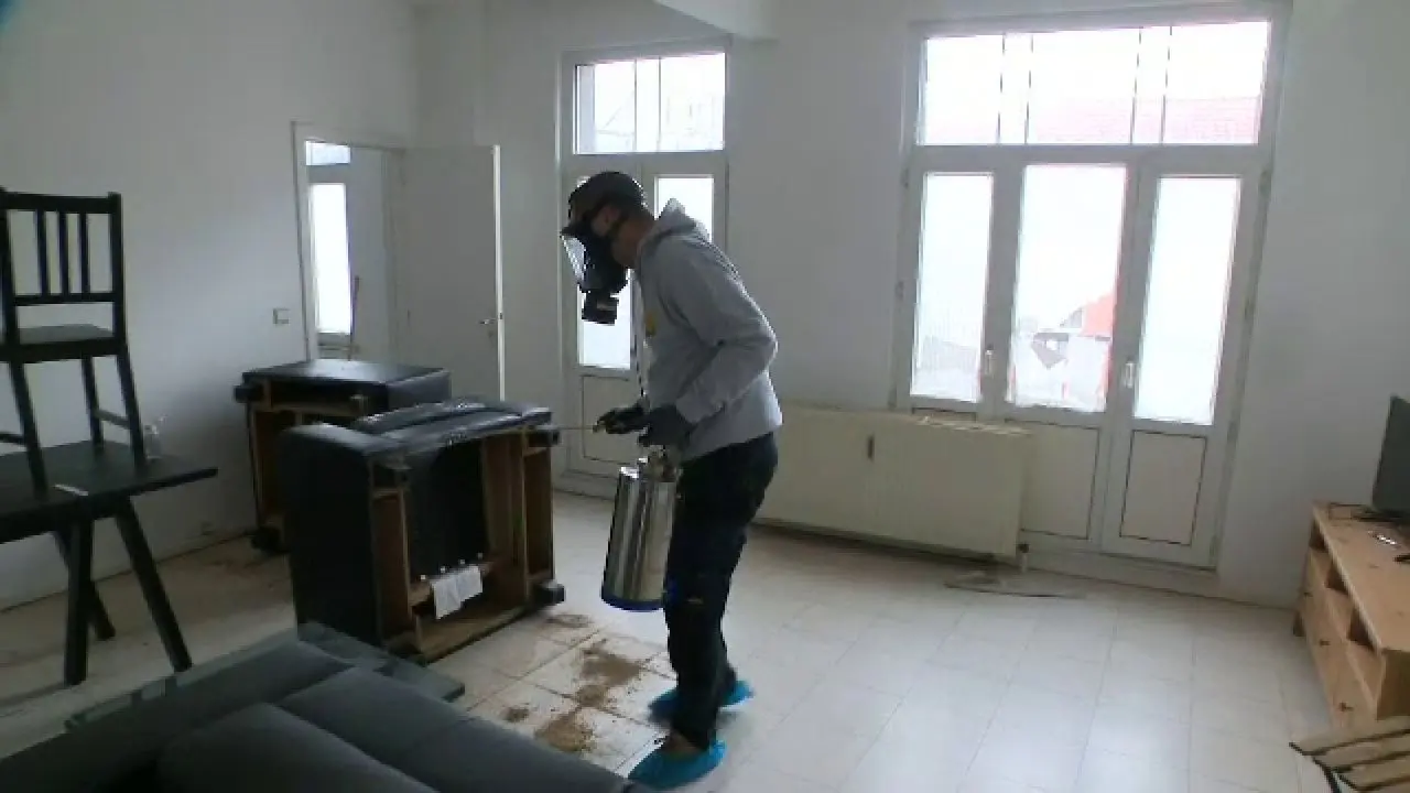 Spitalul Militar: Ploșnițele au invadat Bucureștiul: de la casele oamenilor până în spitale