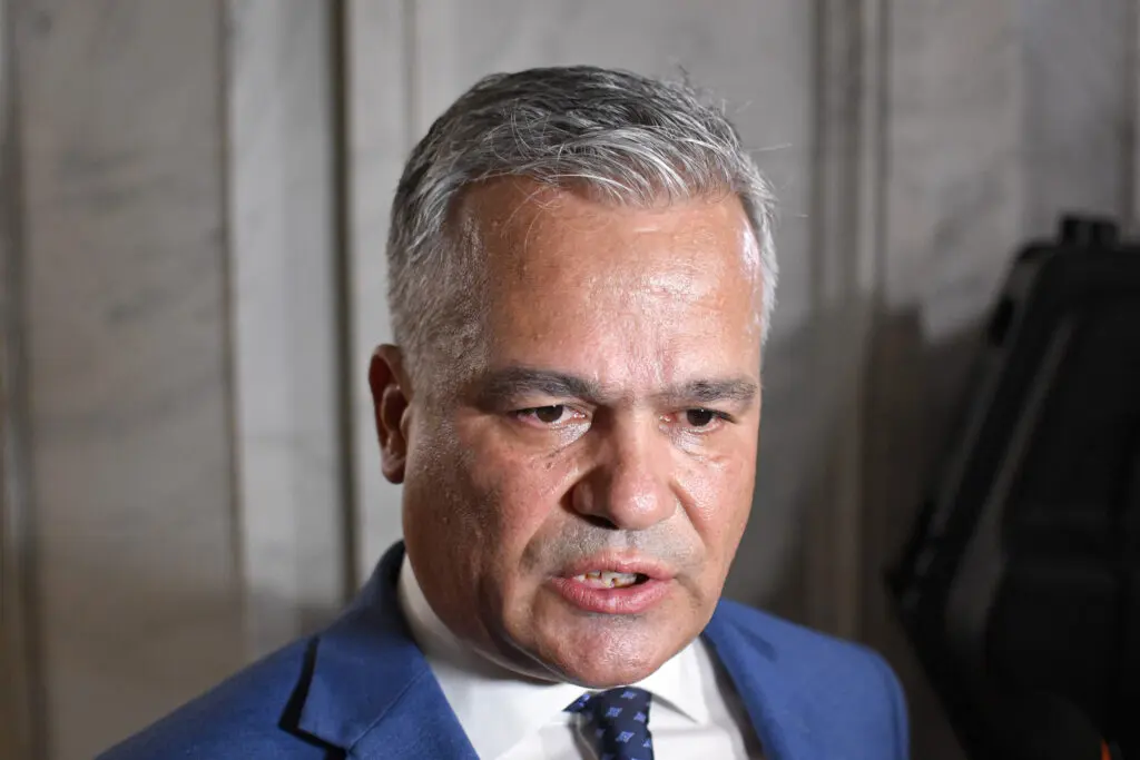 Adrian Veștea avertizează: PNL riscă declin major prin susținerea guvernului fără liberali