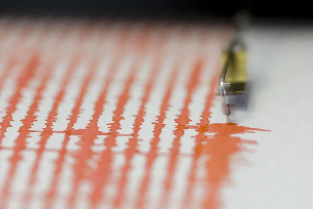Cutremur de 4,8 grade în România. Seismul s-a simțit puternic și în București