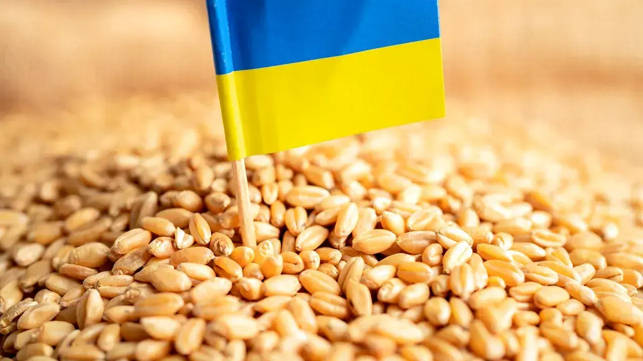 Polonia și România ating pragul maxim de transport al cerealelor ucrainene