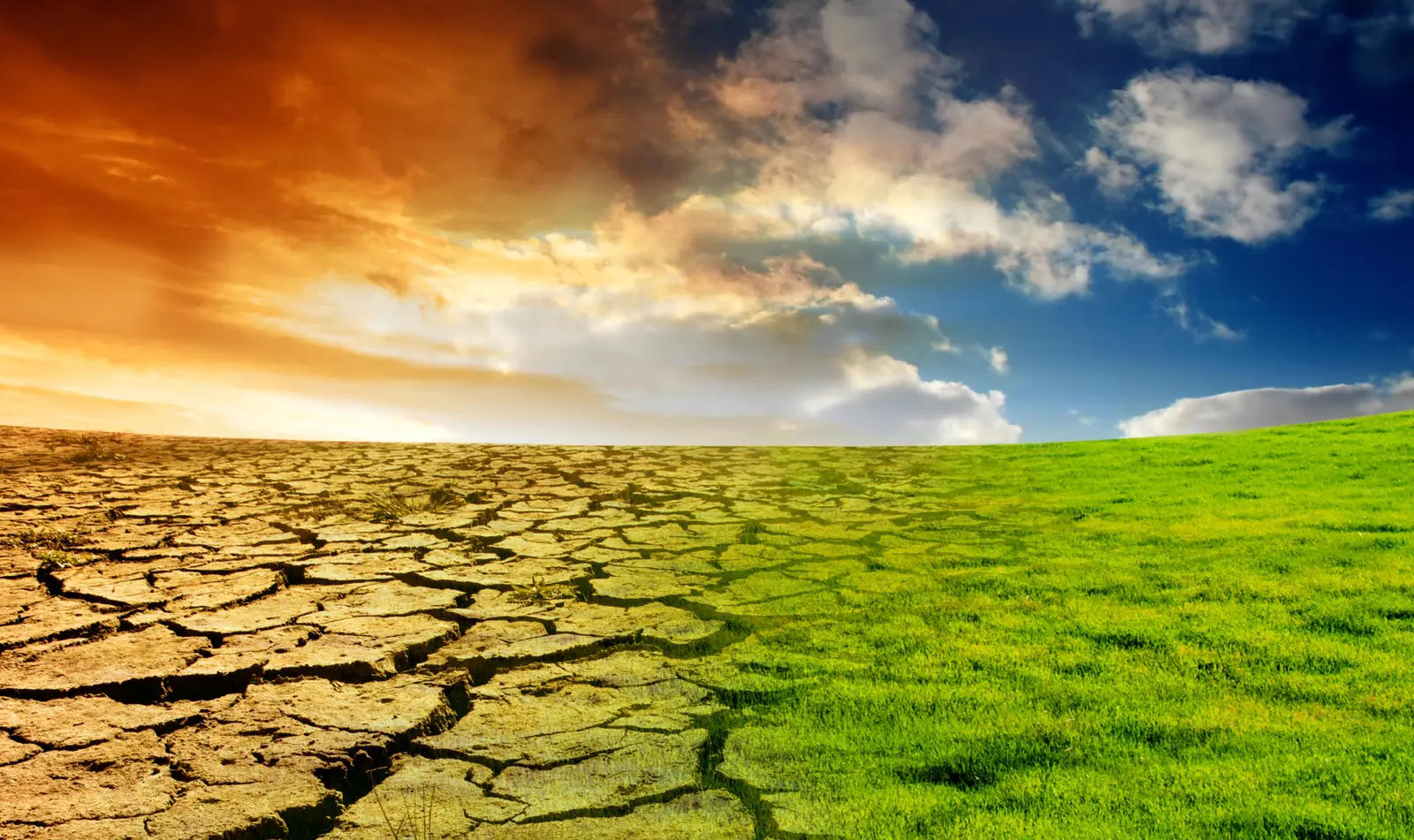Reuniunea climatică internațională suspendată pe termen nedeterminat din cauza disputelor privind calendarul