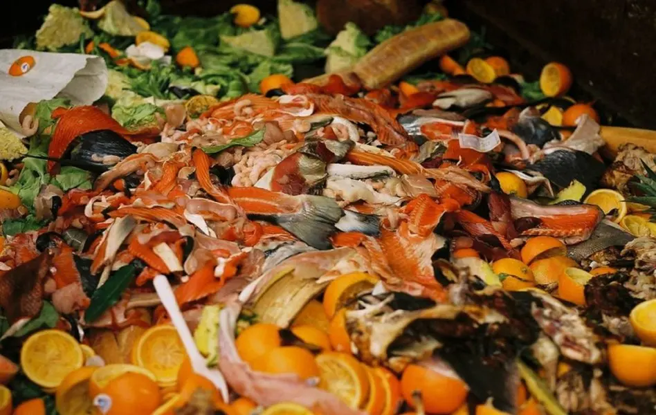 România în topul risipei alimentare: fiecare locuitor aruncă 260 kg de mâncare pe an