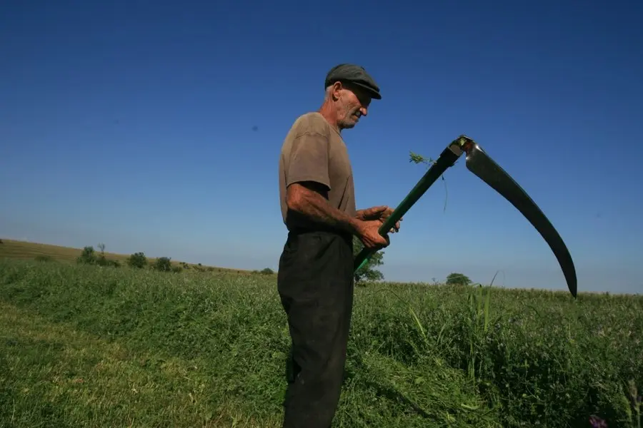 Tinerii evită agricultura: „Ai bani, dar pierzi timpul liber”; România are fermieri printre cei mai în vârstă din UE